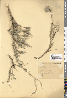 LE 01305278