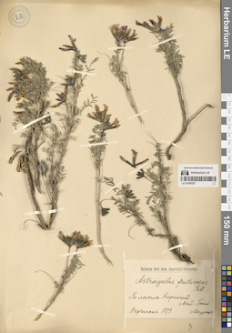 LE 01305327