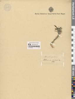 LE 01305374