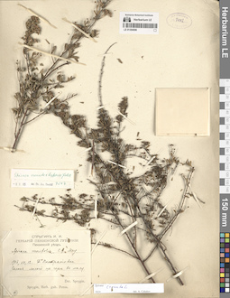LE 01304096