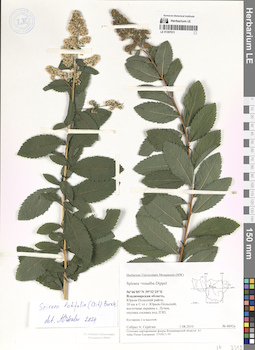 LE 01307011