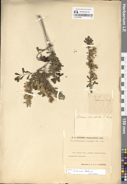 LE 01307026