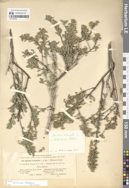 LE 01307027