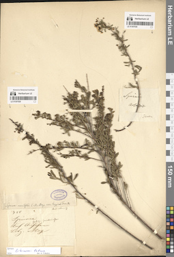 LE 01307030