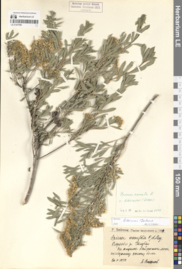 LE 01307058