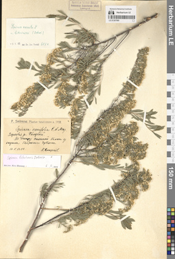 LE 01307060